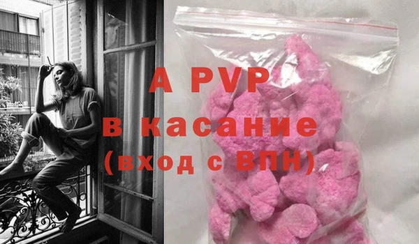 прущие крисы Беломорск