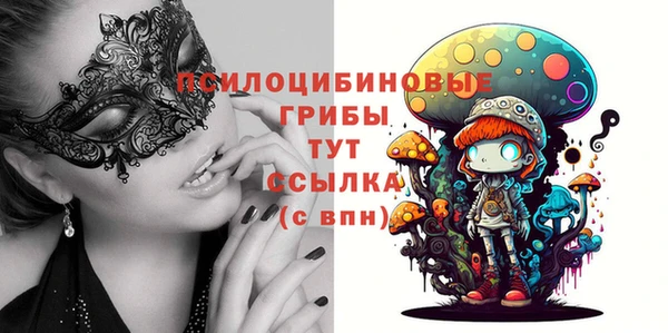 прущие крисы Беломорск