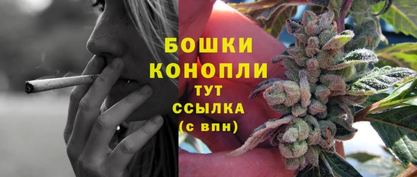 прущие крисы Беломорск