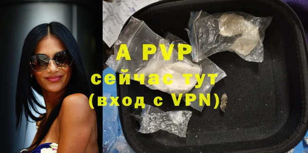 прущие крисы Беломорск