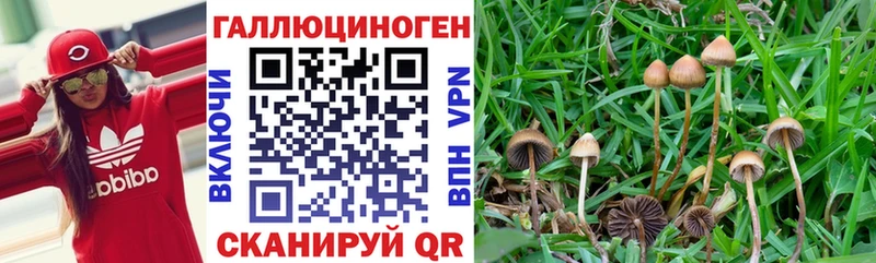 Галлюциногенные грибы Magic Shrooms  Володарск 